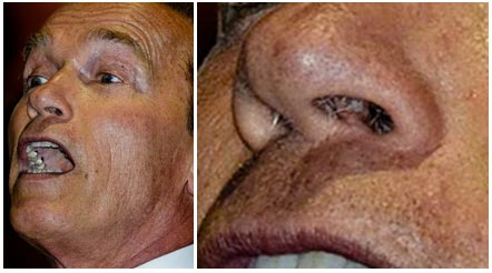 Actor, Arnold Schwarzenegger | Nad's Nose Wax Actor, Arnold Schwarzenegger | Nad's Nose Wax